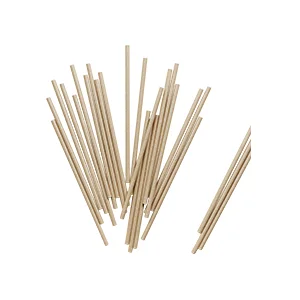 Paper Straw - Category Image