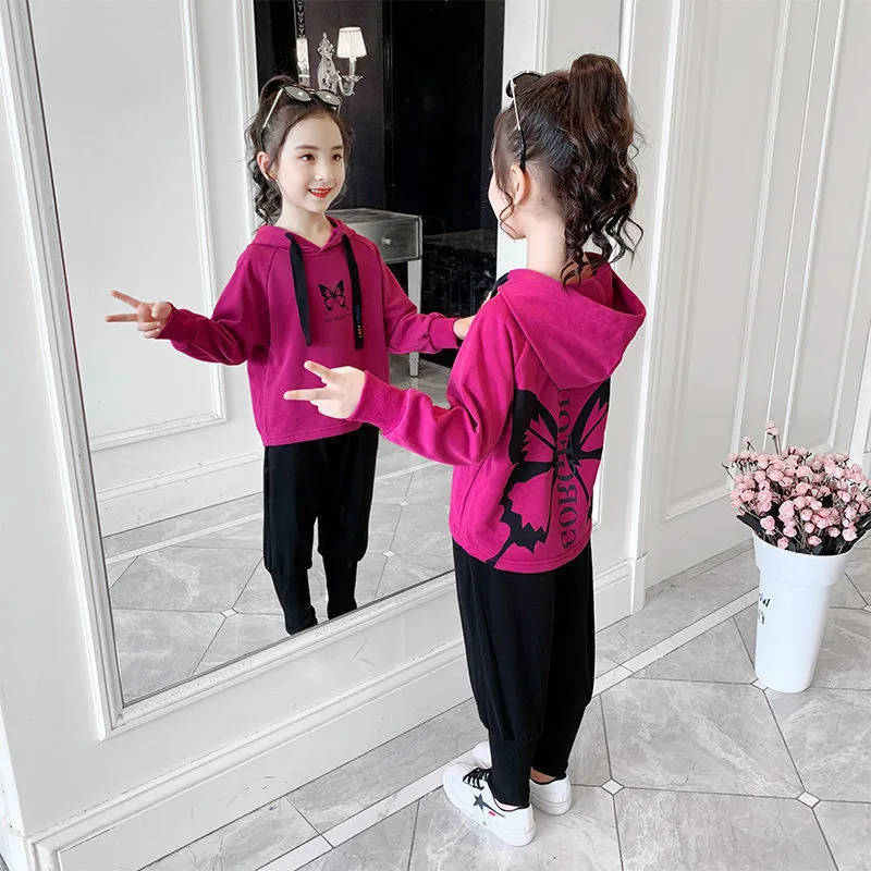 

Girls' suits children's hooded sweaters little girls two-piece suits