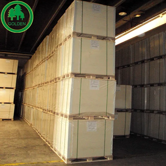 
C1S Coated Ivory Board/ FBB/ Bristol Paper Roll 