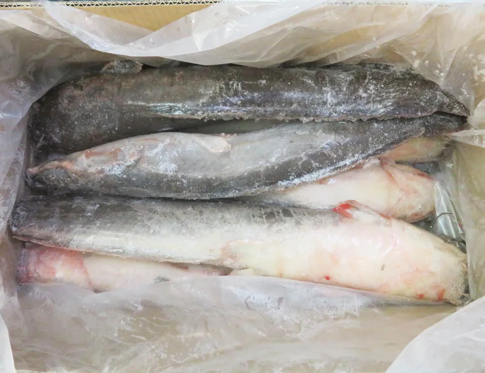 Farm Raised Catfish 5001000g,10002000g,Whole Round Catfish,Frozen