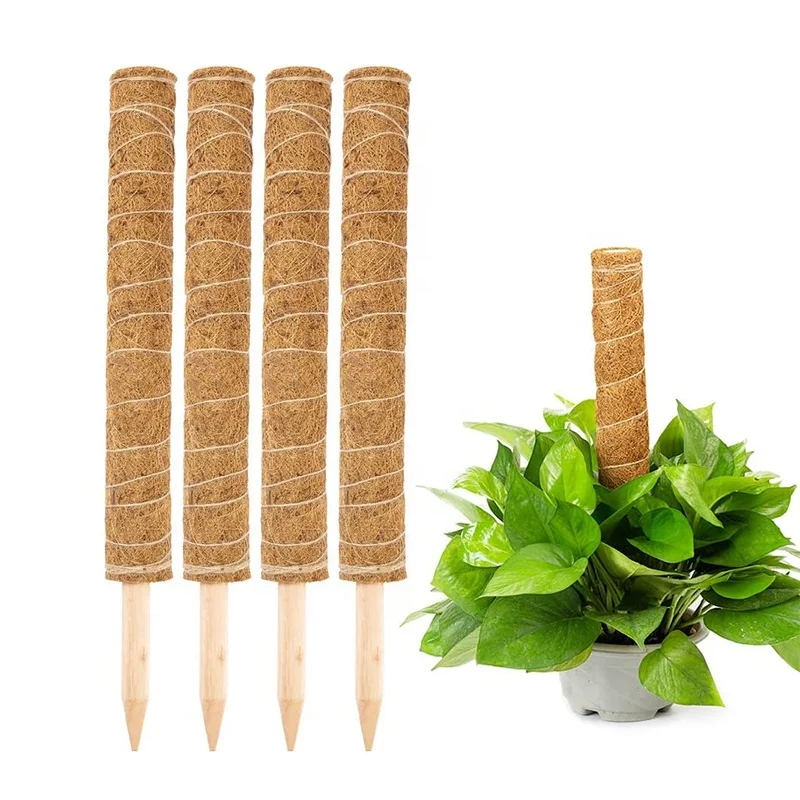 

New Products 2020 Unique Popular 40CM Coconut Coir Moss Pole Coir Totem Moss Pole