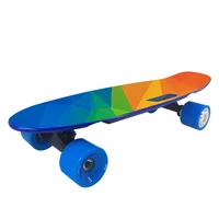 

Custom Small Fish Plate Cruiser Maple Skate Board Remote Control Direct Drive Boosted Electric Skateboard