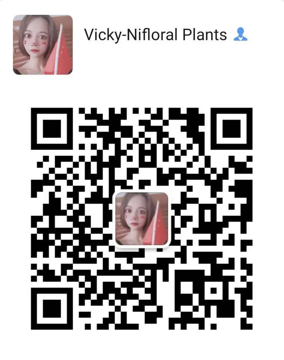 artificial cactus.jpg