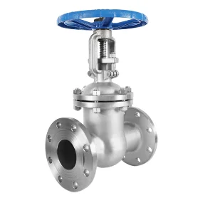 Stainless Steel Flanged Valve Water Gate