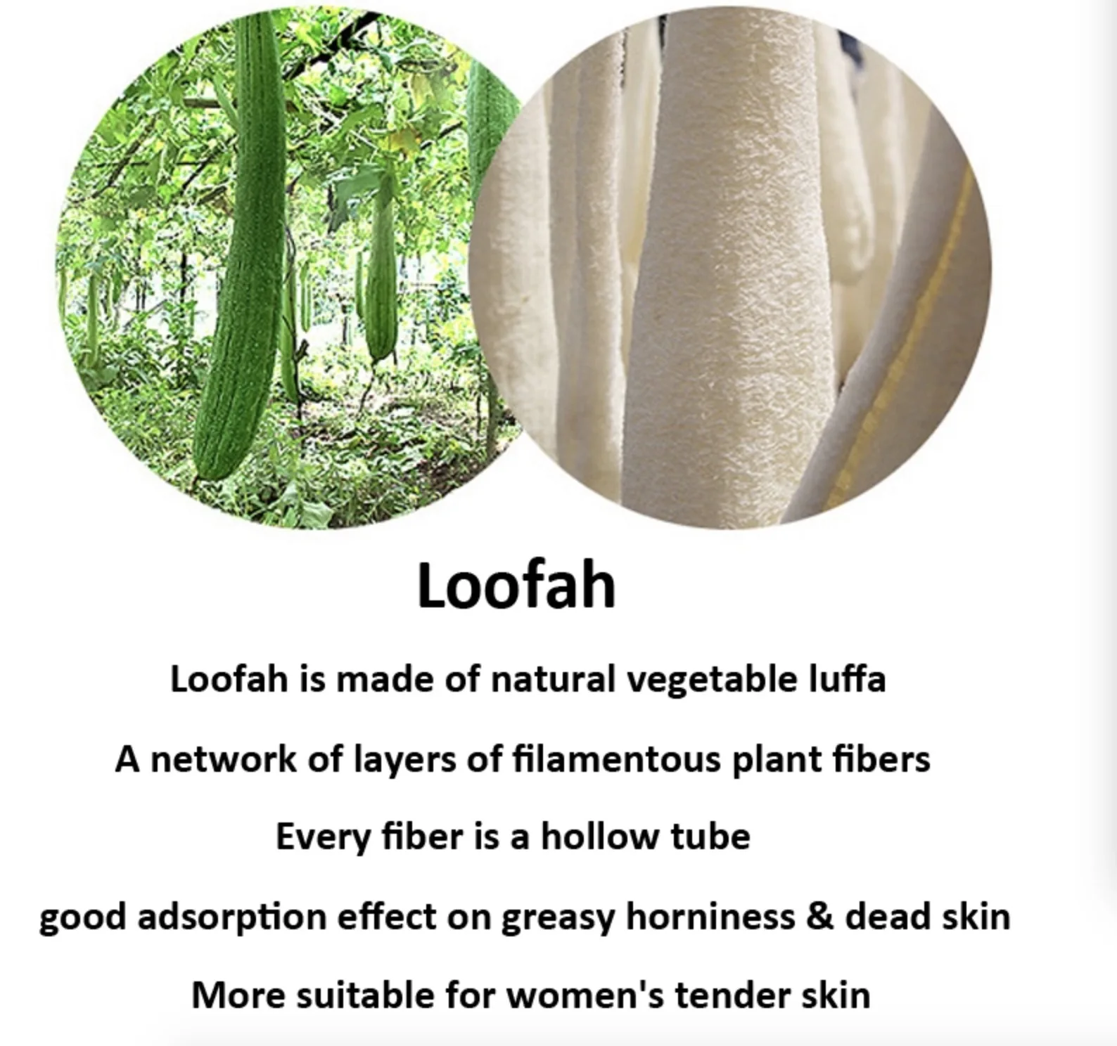 100 Organic Natural Bath Shower Eco Friendly Hotel Loofah Luffa Loofa