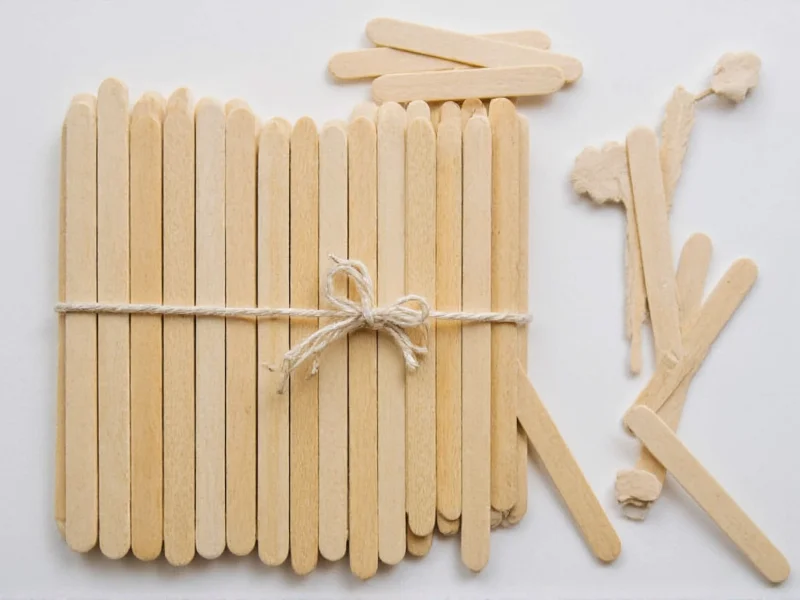 craft stick
