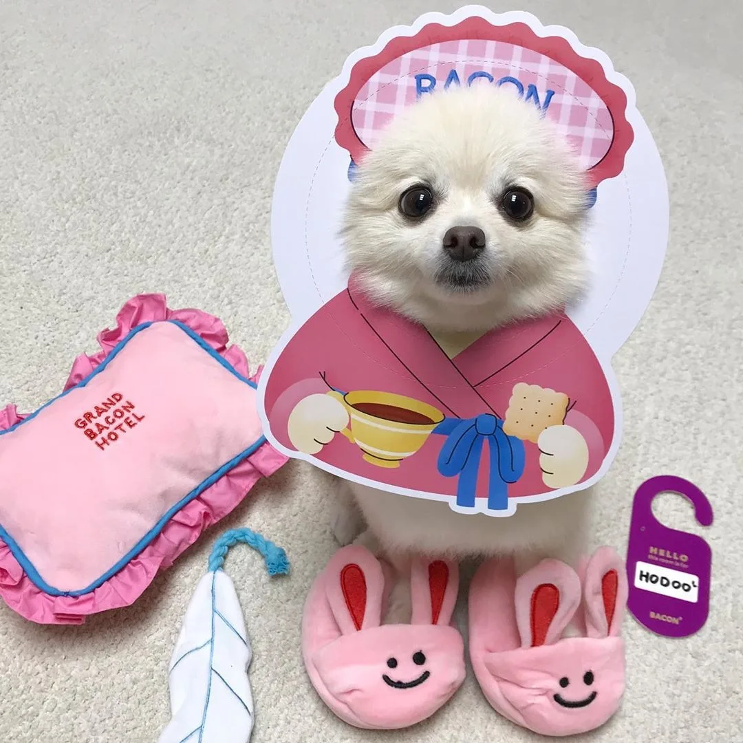 

Wholesale Dog Cat Toy IQ Training Plush Pet Toy Interactive Squeaky Dog Stuffed Toy, Picture shows