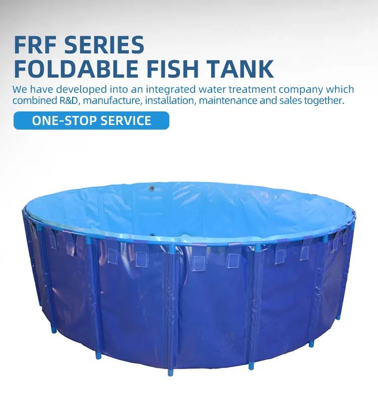Customized Recirculating Aquaculture Systems Indoor Fish Farm Tanks