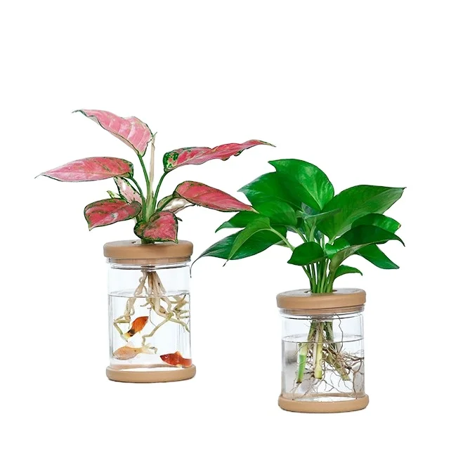 

IE Hot selling transparent hydroponic indoor vase planter bulk plastic flower pots, Transparent, customized