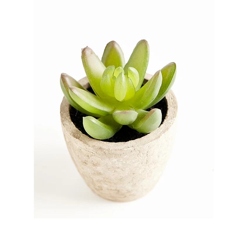 

PRIMAISON DIY Green Artificial Succulents small potted Plants Decorative Succulent Plant Faux Plastic Plant Indoor &Outdoor, Can be customized