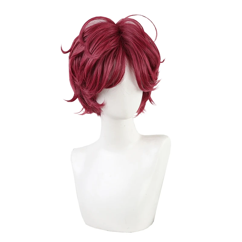 

Wine Red Hair Anime Comic Exhibition Cosplay Halloween Hair COS Ombre Wigs Cool Men Hair, Pic showed