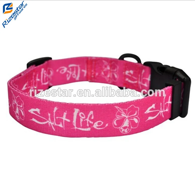 fancy dog collars for female dogs