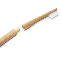 

FDA Approved BPA Free Biodegradable Private Label Logo Eco Custom Bamboo Toothbrush Charcoal with Replacement Brush Head