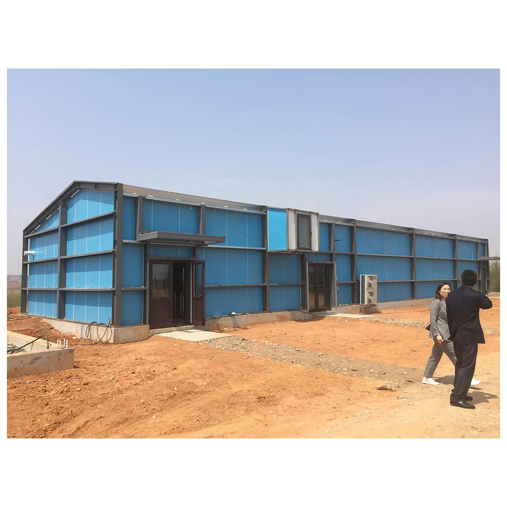 
Japanese shiitake mushroom cultivation consulting oem product personalized service 