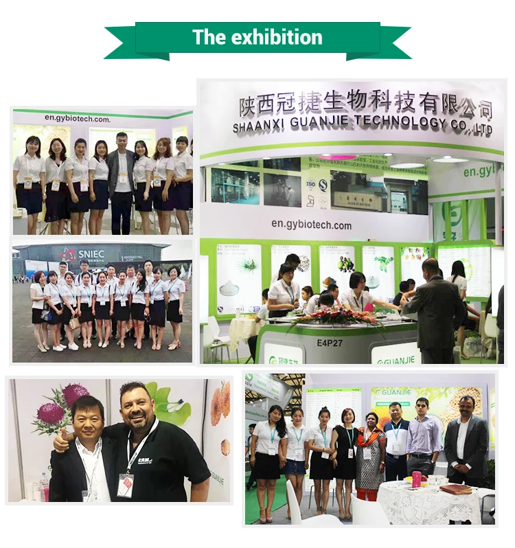 
Factory wholesale best price Natural OX Bile Powder 