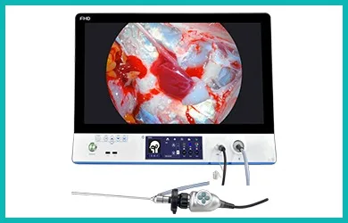 Portable Endoscope