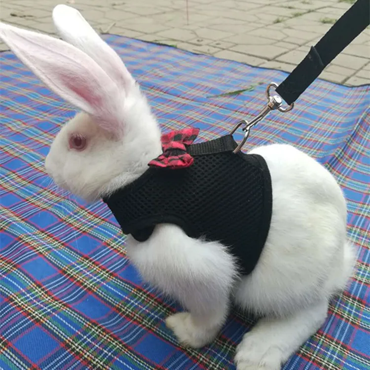 

Pet chinchilla hamster rabbit leash lead vest printed rabbit walking harness leash, As pictures