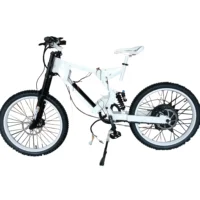 

China customization enduro bike frame with triangle battery