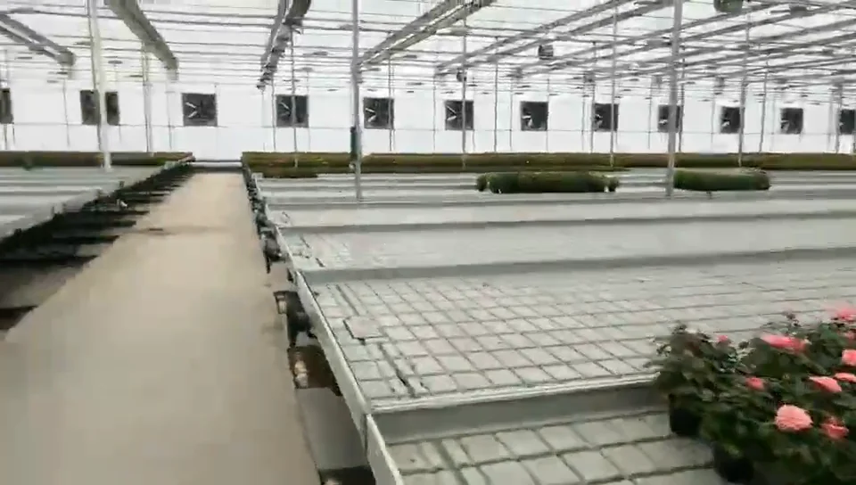 Greenhouse Nursery Bed Galvanized Welded Wire Mesh Steel Seedbed