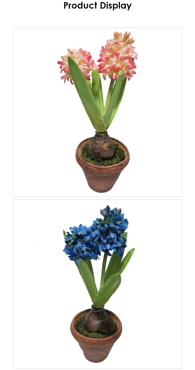 Bunga Hyacinth Pot Plastik Untuk Penataan Dekorasi Taman Faux Hyacinth Dalam Pot Buy Pot Bunga Eceng Gondok Faux Bunga Eceng Gondok Taman Pengaturan