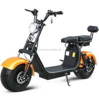 

Powerful High Speed Lithium Battery wide wheel 18*9.5 Halley Citycoco 2000W EEC electric scooter