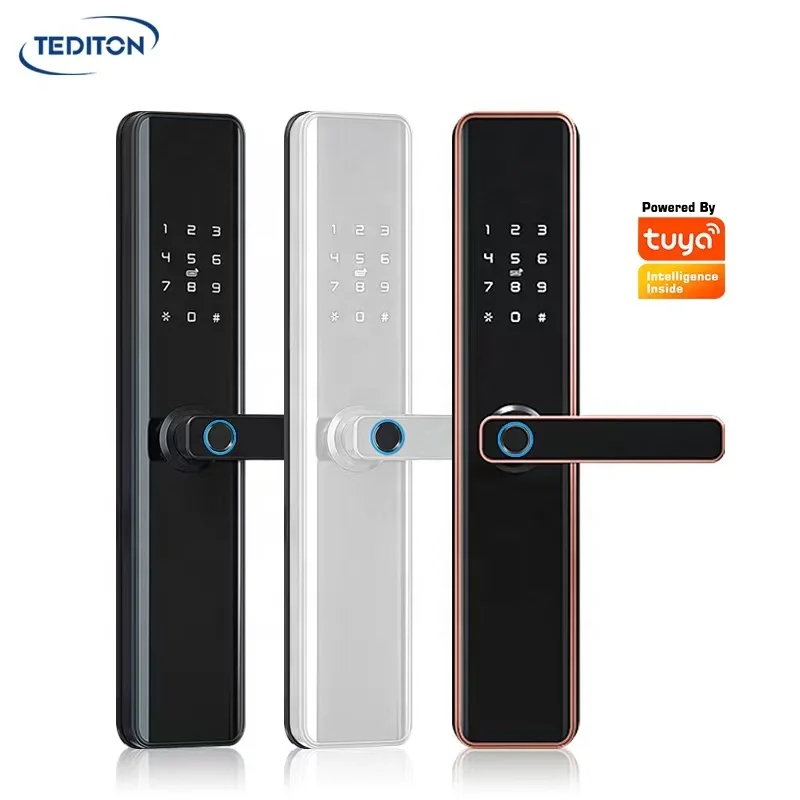 

Tediton Hot Selling Airbnb Security Tuya Wifi Biometric Password Digital Fingerprint Door Lock