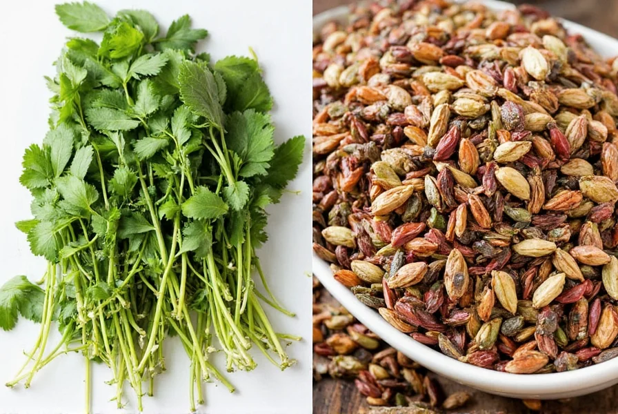fresh herbs vs dried a spicy guide to flavor storage