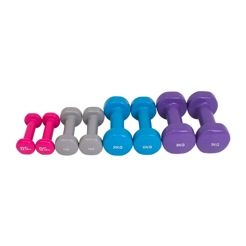 

Factory Wholesale Custom Dipping Vinyl Neoprene Dumbbell Set