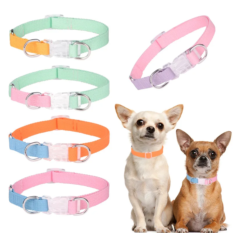 

Luxury Macaron multicolor dog collar medium and large chain polyester pet collar leash set