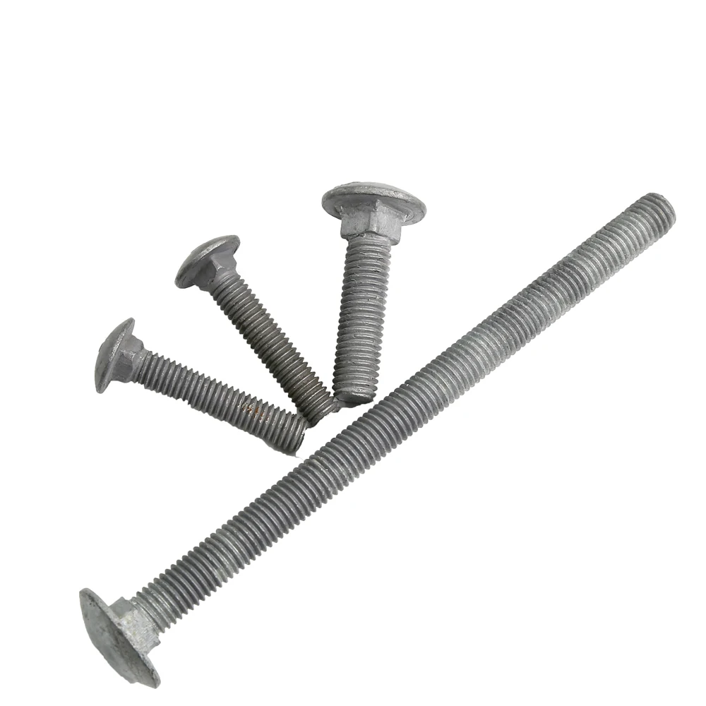 
Stainless Steel Hardened Grade 8.8 Din 603 Din603 Square Hole Washer M4 Carriage Bolt 