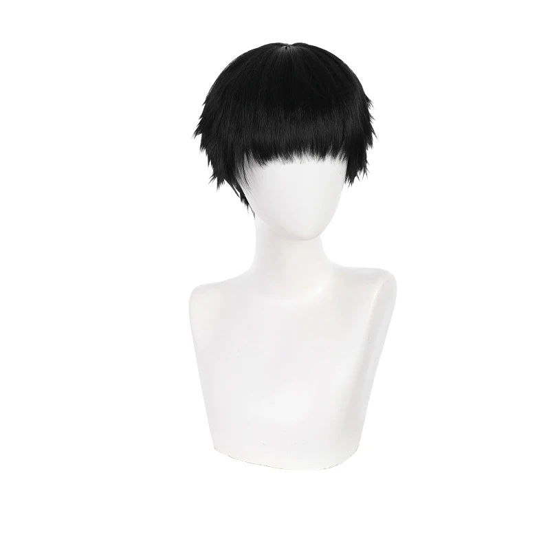 

Black Short Synthetic Hair Anime Comic Exhibition Cosplay Halloween Hair COS Ombre Wigs Cool Male Shredded Hair, Pic showed