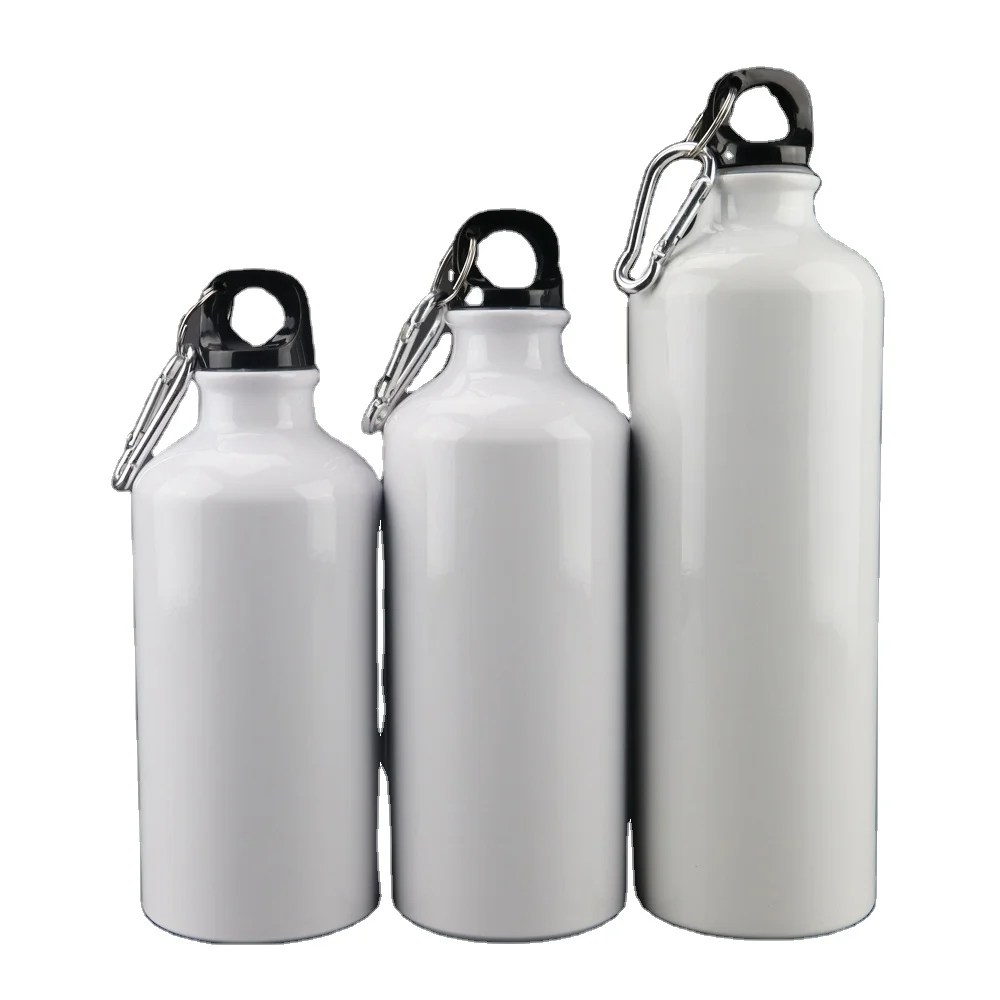 

High Quality Personalized Stainless Steel Blamk Sports Bottle with Carabiner Lid 400ml 500ml 600ml 750ml, Silver/white