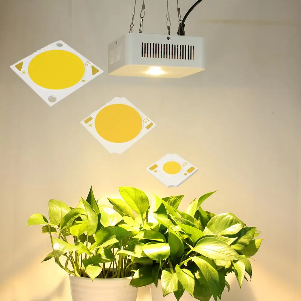 full spectrum high CRI 97Ra 5W 10W 15W 20W 25W COB led 1313 for plant grow light