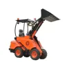 /product-detail/avant-mini-loader-dy620-farming-tractors-for-sale-60612359406.html