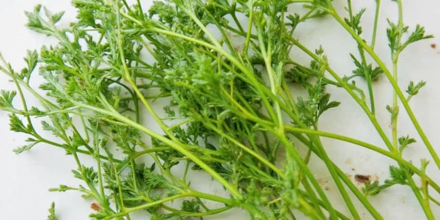 Chervil garnishing a plate of scrambled eggs