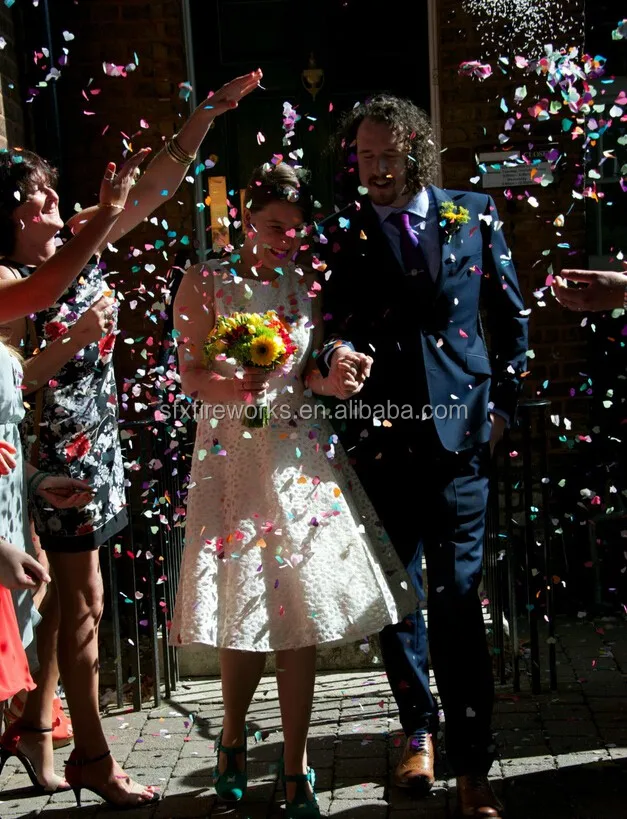 butterfly confetti (3).jpg