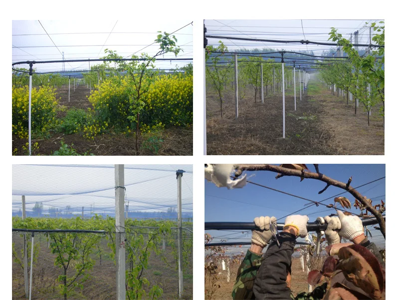 PE Pipe application.jpg