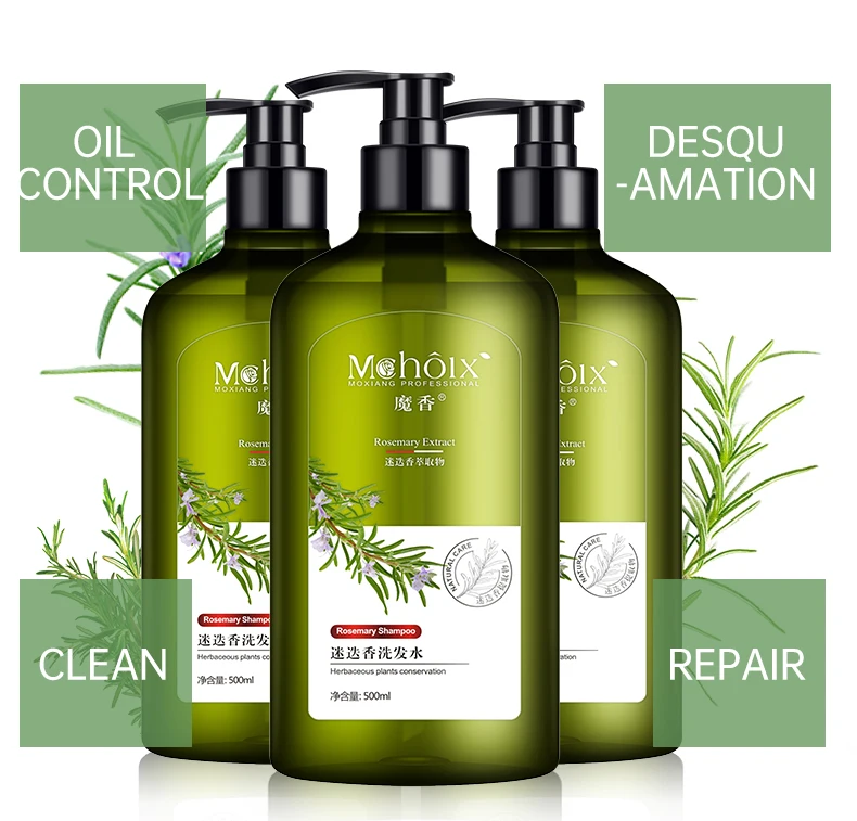 

HeBiQuan Private Label Rosemary Anti-Dandruff Anti-Itch Shampoo Refreshing Oil Control Hair Organic Shampoo