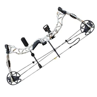 

Adjustable 35-70lbs Compound Bow Set for Right Hand Hunting Shooting Competition Sport Camouflage Slingshot Bow with Accessories