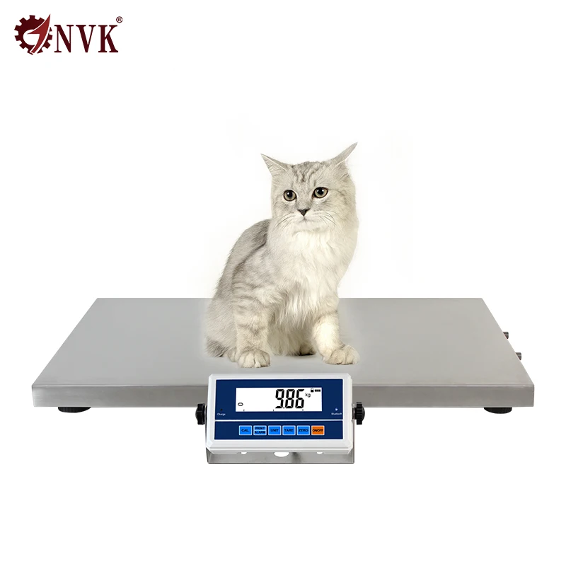 

100KG Veterinary Floor Scale For Pet Hospital Dog Cat Digital Weighing Scale