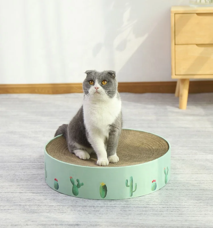 

Starry Sky Cactus Pattern Round Scratcher Corrugated Cat Scratcher Sleeping Cat Mat, Photo