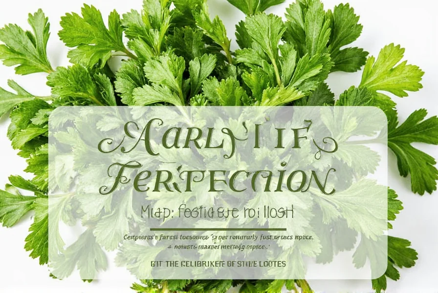 Parsley in a bowl