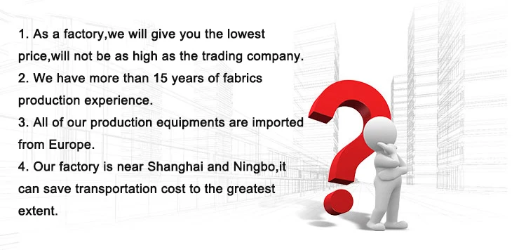 100 polyester fabric