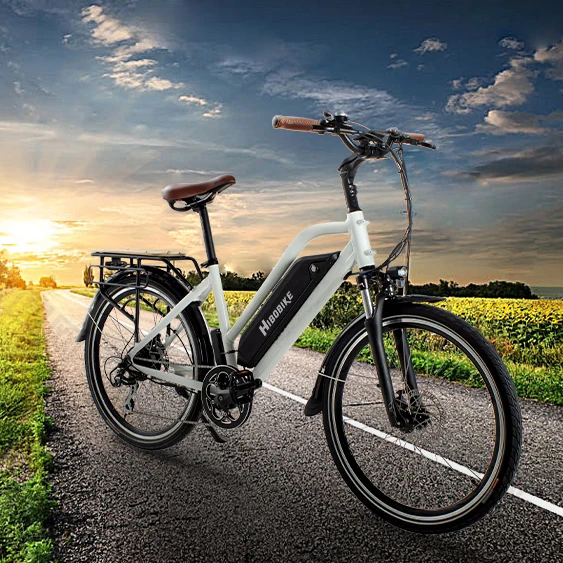 

europe warehouse price TDF46 Electrical City Bikes 250W 36V 14AH ebike hybrid city bike