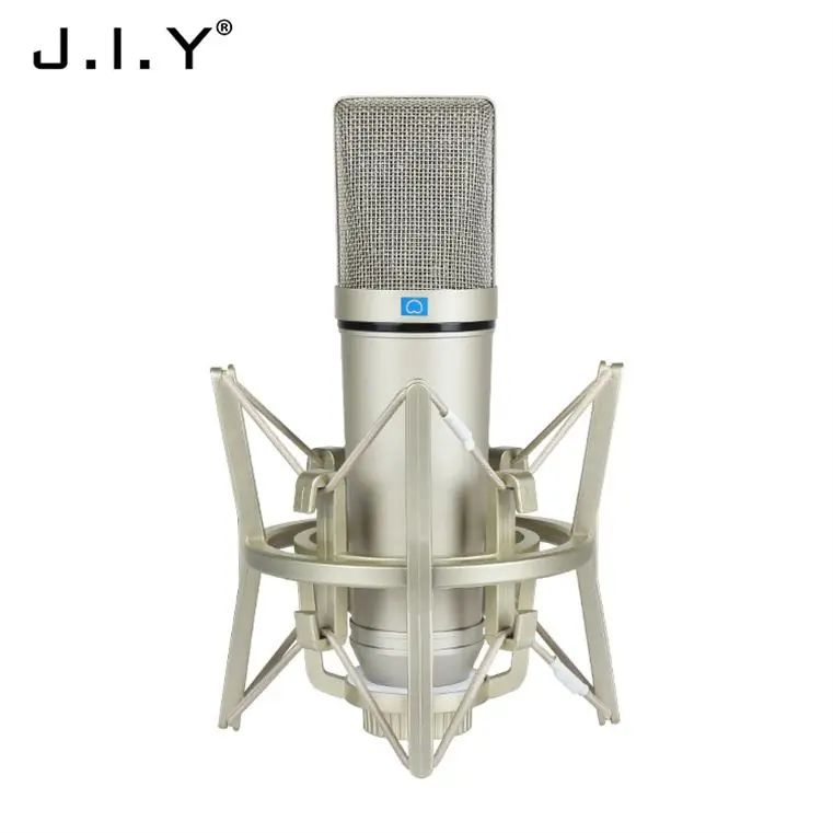 

Professional Portable Kide Karaoke Microphone, Champagne