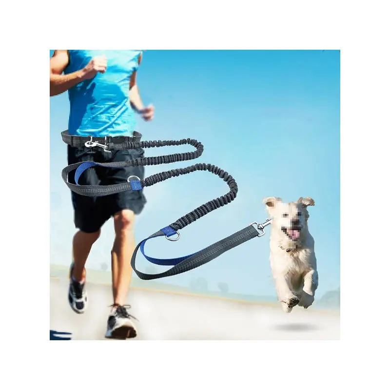 

Hot Selling Hands Free Reflective Bungee Waist Belt Durable Running Heavy Duty Pet Leash for Dogs And Cats, Blue, light green, aqua green, orange
