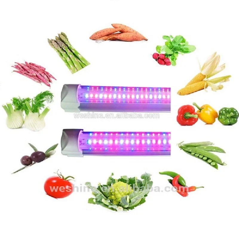 Best Quality 120CM 90CM T 8 Led Grow Light Bar Full Spectrum UV IR For Hydroponic Growing Systems