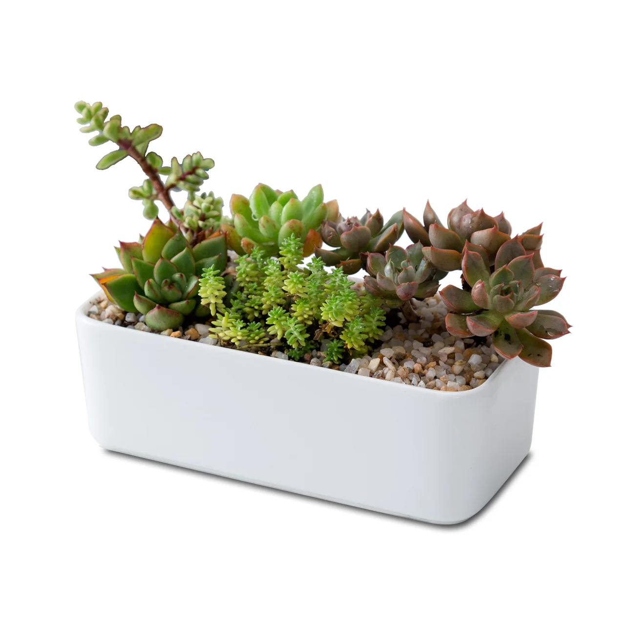

Nordic ceramic small wooden flower pots & planters cheap wholesale bamboo home garden modern mini flower pots succulents, White