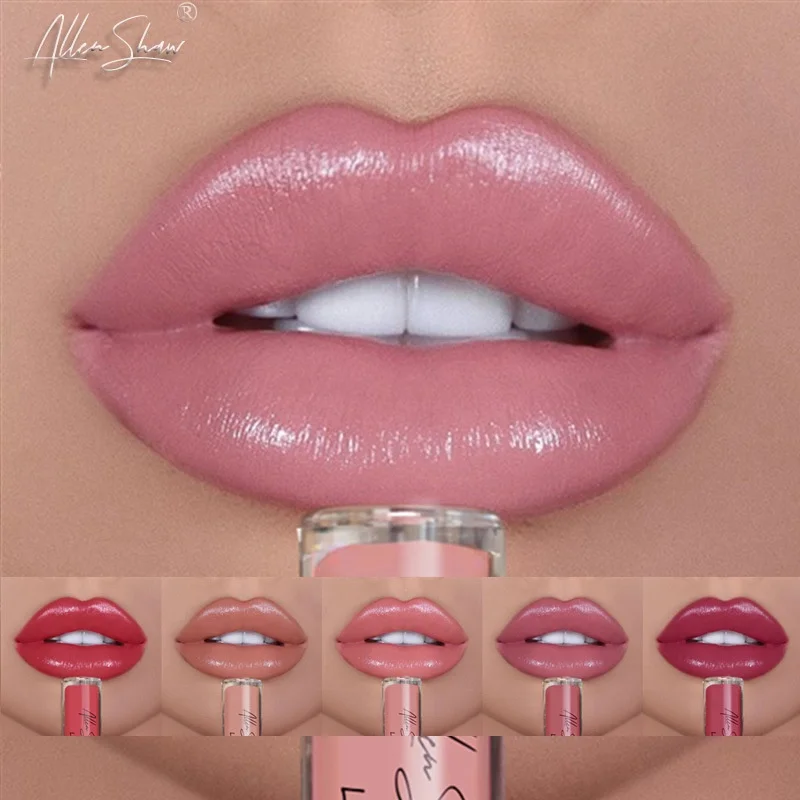 

12 Colors Sexy Women Lipstick Waterproof Long Lasting Moist Lip Gloss Vivid Colorful Pink Plump Lipgloss, Pictures show