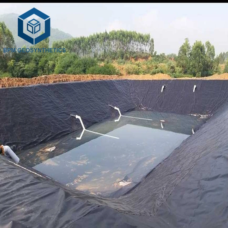 Large Pond Liner